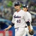 【ヤクルト】高梨裕稔「教わったことや見て感じたことを…」石川雅規引退試合の３日中日戦で先発