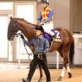 【注目馬動向・古馬】日本テレビ盃２着のテーオーマルコーニは浦和記念が目標　ドンインザムードは武蔵野Ｓで復帰