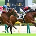 【東京３Ｒ・２歳新馬】ソードオブステートが断然の１番人気に応えて初陣Ｖ　田辺裕信騎手「直線の反応も良かった」