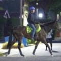 【注目馬動向・２歳】ダリア賞２着のアンムート、同３着のカレンハウはもみじＳへ