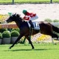 【京都５Ｒ・２歳新馬】祖母は１１年秋華賞馬のアヴェンチュラ　レッドシーカーが逃げ切りＶ　松山弘平騎手「強かった」