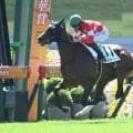 【京都5R新馬戦結果】アルアイン産駒レッドシーカーが逃げ切り勝ち