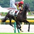 【東京５Ｒ・２歳新馬】クロワデュノール超えた！ルメール騎手「重賞レベル」１番人気のヴァルカモニカが７馬身差の圧勝