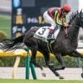【東京5R新馬戦結果】エピファネイア産駒ヴァルカモニカが断然人気に応え7馬身差V