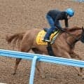 土曜東京競馬場の注目激走馬…東京１１Ｒグリーンチャンネルカップ（Ｌ）