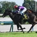 【オパールS結果】3歳牝馬リリージョワがゴール前で差し切りV