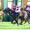 【オパールＳ】逃げから一転！リリージョワが鮮やか差し切る　浜中俊騎手「短距離界を盛り上げてくれたら」