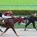 【東京１１Ｒ・グリーンチャンネルＣ】３連勝中のヘニーガイスト、ルヴァレドクールは２、３着で連勝ストップ　横山武史騎手「オープンでもやれるところを見せてくれた」