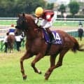 ８歳でスプリンターズＳを制したウインカーネリアンが登録抹消　今後はビッグレッドファームで種牡馬入りの予定