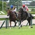 【京都大賞典前日オッズ】ダノンシーマが4.7倍で1番人気