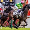 【AI予想・毎日王冠】今年のメンバー相手でも能力は上位！ 実績のある舞台で久々の勝利を狙う人工知能の本命馬