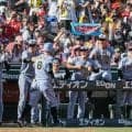 阪神が球団史上初のセ・リーグ連覇　広島に敗れるも、2位巨人も敗戦