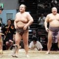 元英乃海が断髪式　弟・翔猿に寄り切り勝ち！最後の一番に大歓声「相撲をやってきて本当によかった」