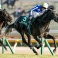 【今日の注目ポイント】毎日王冠と京都大賞典 夜には凱旋門賞