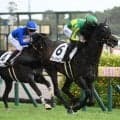 【毎日王冠予想】秋のGI見据えるステップ 開幕週の東京1800mはスピードと持続力勝負