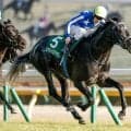 【毎日王冠予想】馬券圏内9割の1番人気馬の死角は？ 過去データから探るGII毎日王冠