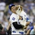 大谷翔平　久々に愛犬・デコピンの近影公開！特製お菓子に興味津々？５カ月ぶりにファン歓喜「可愛すぎて萌え」「久々に見れて泣きそう」「お元気だった？」