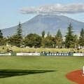 【国スポ】横浜－花巻東　先発は横浜・林田、花巻東は赤間　横浜・織田翔希はベンチスタート