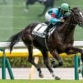 【東京5R新馬戦結果】シルバーステート産駒シルヴァノーブルが逃げ切り快勝