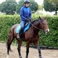 【ジャパンダートクラシック・枠順確定】史上初の３冠かかるフィンガーは５枠１０番　ホリエモンの愛馬イッテラッシャイは８枠１５番