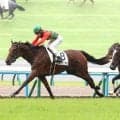 【京都５Ｒ・２歳新馬】トロカアニマダが“億超え”２頭破ってデビューＶ　国分恭介騎手「上手に走り抜いてくれた」