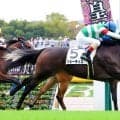 【東京６Ｒ・２歳新馬】ルメール騎手の手腕光る　単勝１・９倍のジョーティスが鼻差差し切りＶ「能力はありそうです」