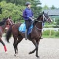 日曜京都競馬場の注目激走馬…京都１１Ｒ京都大賞典・Ｇ２