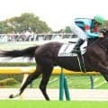 【東京５Ｒ・２歳新馬】メンバー唯一の関西馬シルヴァノーブルが３馬身半差逃げ切りＶ　昆調教師「言うことなし」