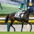 【東京6R新馬戦結果】モーリス産駒ジョーティスが接戦を制してV