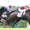 【東京８Ｒ】３歳は３歳でも牝馬フリーヤＶで３連単１８８万円超　４着ソラネルマンのルメール騎手「長い休み明けだったし…」