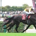 【毎日王冠】府中１８００メートルのレコードホルダー本領！セイウンハーデスが写真判定も重賞３勝目　幸英明騎手は２６年ぶり勝利