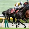 【毎日王冠結果】7歳馬セイウンハーデスが大接戦を制し重賞3勝目