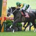 【京都大賞典結果】11番人気エコロディノスが押し切りV！ 人馬ともに重賞初制覇