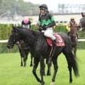 【京都大賞典】海外遠征明け８歳ディープモンスターは４着　ディープインパクト産駒３連覇でストップ