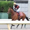 【毎日王冠】ホウオウビスケッツ３年連続２着　岩田康誠騎手の誤算「遠心力で外にふくれ…」逃げ込み寸前も写真判定は鼻差