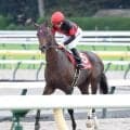 【毎日王冠】「ゲートでパニック」佐々木大輔騎手は課題を指摘　３歳馬ライヒスアドラーは５着どまり
