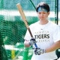 「嘘やろ？」阪神歓喜の裏で“流血事件”　祝勝会で大惨事…ファン愕然「はじめて見た」