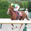 【毎日王冠】ルメール騎手「重賞レベルだと思います」６番人気レイニングは重賞初挑戦で最速上がりも４着