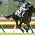 【サウジアラビアRC】フィリオソラーレ、ギブリなどが登録
