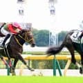 ３・１億円馬のリバティ弟が単勝１・１倍の完勝に「姉の面影ある」「役者が違った」　ダノンダックス２戦目で初Ⅴ