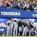 【阪神】連覇決めても虎党すごい　ハマスタ外野席は左半分が黄色一色「Ｘデー」可能性あった試合