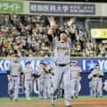 えっ阪神・佐藤輝明が伏見寅威を持ち上げようとしてる！横浜スタジアムでファンからの胴上げコールに反応したほほ笑ましいシーン