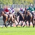【凱旋門賞】直線で馬群に沈んだアドマイヤテラは１１着　Ｃデムーロ騎手「もう少しペースが流れてくれれば」