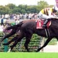 【毎日王冠・レースメモ】シルバーステート産駒　延べ３頭の出走で初勝利