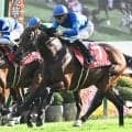3日間開催にスワンSなど3重賞 地方では南部杯とJDクラシック/今週の競馬界の見どころ
