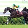 【京都大賞典・レースメモ】キタサンブラック産駒は延べ４頭の出走で初勝利　