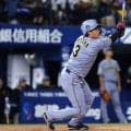阪神襲来でスタンド“真っ二つ”「おかしいでしょ」　くっきり2色「ハマスタ甲子園」