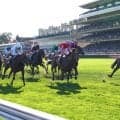 【凱旋門賞】ダリズが連覇達成、牡馬では48年ぶり快挙、グラファール師「本当に偉大なチャンピオン」…各陣営がレースを振り返る