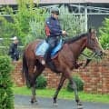 【スワンＳ・三戸の特注馬】不良馬場の前走は度外視　サンダーストラックが京都外回りで再び輝く