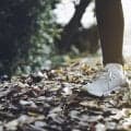 朝ウォーキング、毎日やったほうがいい？週3回でも効果はある？